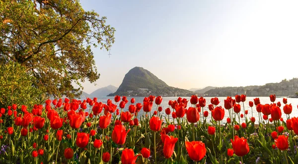 Lugano Suiza Golfo Lugano Atardecer Con Muchos Turistas Para Semana — Foto de Stock