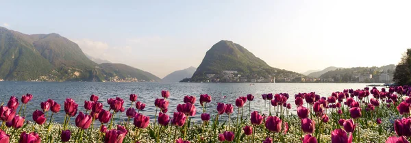 Lugano Svájc Luganói Öböl Naplementekor Sok Turistával Húsvétkor — Stock Fotó