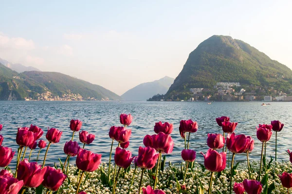 Lugano Sviçre Paskalya Için Birçok Turistle Gün Batımında Lugano Körfezi — Stok fotoğraf