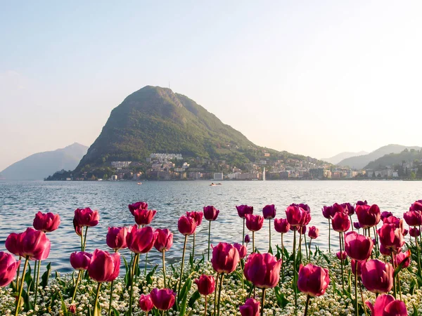 Lugano Schweiz Luganobukten Vid Solnedgången Med Många Turister För Påsk — Stockfoto