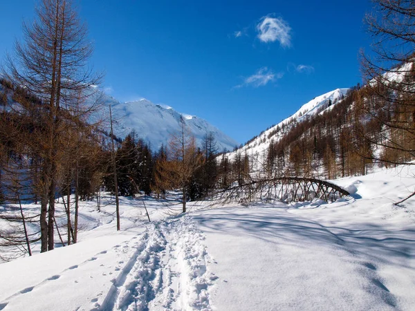 Valle Bedretto Suíça Panorama Nevado Inverno Vale — Fotografia de Stock