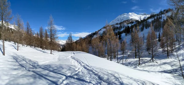 Valle Bedretto Zwitserland Besneeuwd Winterpanorama Van Vallei — Stockfoto