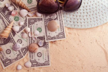 Güzel deniz kabukları dolar banknotlarının üzerinde yatıyor.