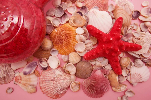 red starfish lies on the colorful shells