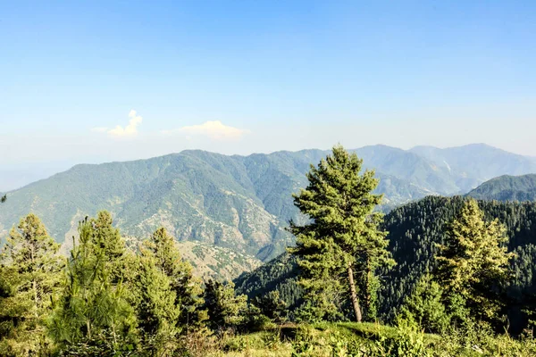 Thandiani是巴基斯坦Khyber Pakhtunkhwa Galyat地区的一个山站 — 图库照片