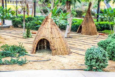 Al Warqa ve Dubai Hayvanat Bahçesi arka planındaki Dubai Safari Park zoolojik bahçesinin yemyeşil güzel manzarası, Dubai, BAE 'deki en çeşitli hayvan çeşitliliğine ev sahipliği yapıyor.