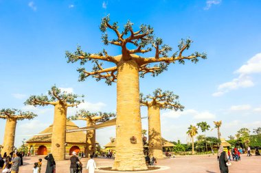 Al Warqa ve Dubai Hayvanat Bahçesi arka planındaki Dubai Safari Park zoolojik bahçesinin yemyeşil güzel manzarası, Dubai, BAE 'deki en çeşitli hayvan çeşitliliğine ev sahipliği yapıyor.