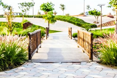 Al Warqa ve Dubai Hayvanat Bahçesi arka planındaki Dubai Safari Park zoolojik bahçesinin yemyeşil güzel manzarası, Dubai, BAE 'deki en çeşitli hayvan çeşitliliğine ev sahipliği yapıyor.