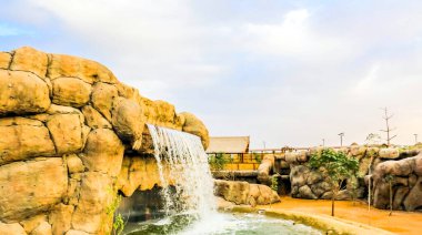 Al Warqa ve Dubai Hayvanat Bahçesi arka planındaki Dubai Safari Park zoolojik bahçesinin yemyeşil güzel manzarası, Dubai, BAE 'deki en çeşitli hayvan çeşitliliğine ev sahipliği yapıyor.