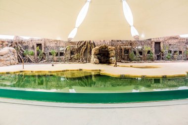 Al Warqa ve Dubai Hayvanat Bahçesi arka planındaki Dubai Safari Park zoolojik bahçesinin yemyeşil güzel manzarası, Dubai, BAE 'deki en çeşitli hayvan çeşitliliğine ev sahipliği yapıyor.