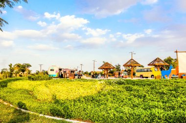 Al Warqa ve Dubai Hayvanat Bahçesi arka planındaki Dubai Safari Park zoolojik bahçesinin yemyeşil güzel manzarası, Dubai, BAE 'deki en çeşitli hayvan çeşitliliğine ev sahipliği yapıyor.