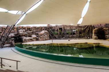 Al Warqa ve Dubai Hayvanat Bahçesi arka planındaki Dubai Safari Park zoolojik bahçesinin yemyeşil güzel manzarası, Dubai, BAE 'deki en çeşitli hayvan çeşitliliğine ev sahipliği yapıyor.