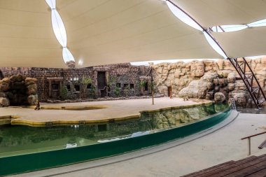 Al Warqa ve Dubai Hayvanat Bahçesi arka planındaki Dubai Safari Park zoolojik bahçesinin yemyeşil güzel manzarası, Dubai, BAE 'deki en çeşitli hayvan çeşitliliğine ev sahipliği yapıyor.