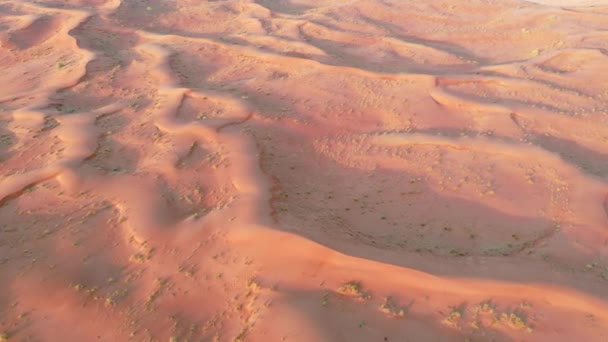 Drónkilátás Száraz Sivatag Dubai Homokvasutakkal Geológiai Tájkép High Dune Desert — Stock videók