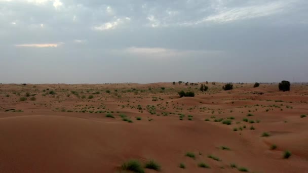 Drone View Dry Desert Dubai Sand Ripples Geological Landscape High — Stockvideo