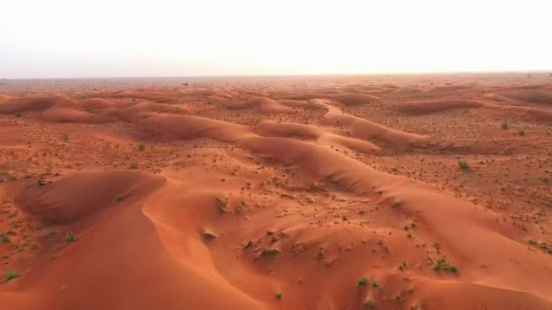 Βίντεο 4K, Κηφήνας πλάνα από Buhais Geology Park Desert στη Sharjah με κυματισμούς άμμου, Γεωλογικό τοπίο της ερήμου High Dune στα Ηνωμένα Αραβικά Εμιράτα — Αρχείο Βίντεο