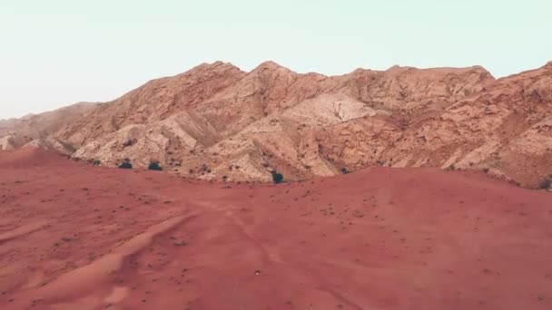 Sharjah woestijn — Stockvideo