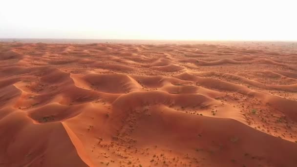 Sarjah sivatag — Stock videók