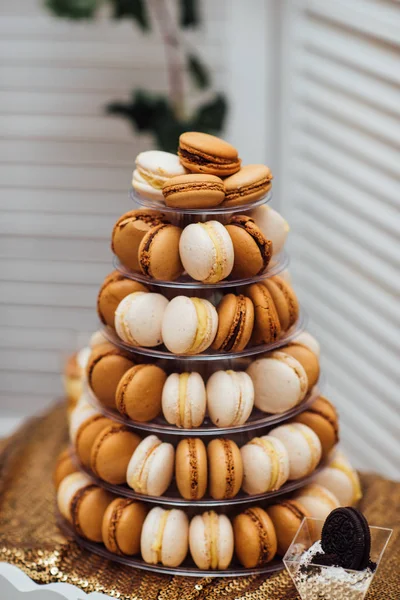 Chokladmandelbiskvier Med Choklad Och Vanilj Royaltyfria Stockfoton