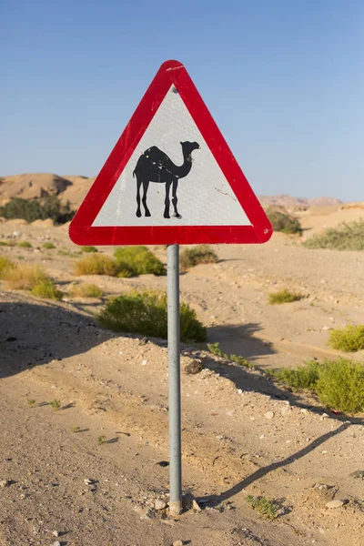 Varning Triangel Skylt Nära Vägen Camel Cross — Stockfoto