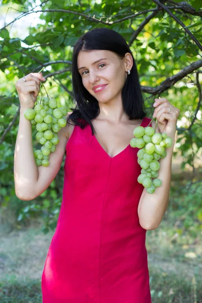 Portret Uśmiechniętej Dziewczynki Żniwami Pęczków Zielonej Winogrona — Zdjęcie stockowe