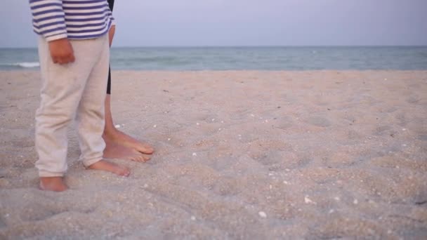 Côté Promenade Jambes Pieds Vers Bas Vue Heure Dorée Lumière — Video