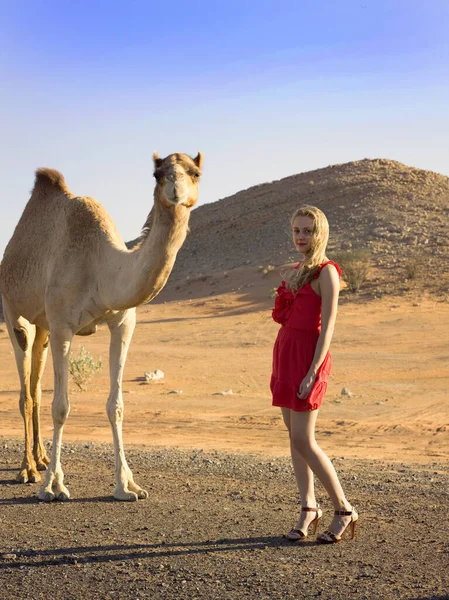 Attraktiv Tjejmodell Röd Klänning Och Höga Klackar Poserar Med Vild — Stockfoto