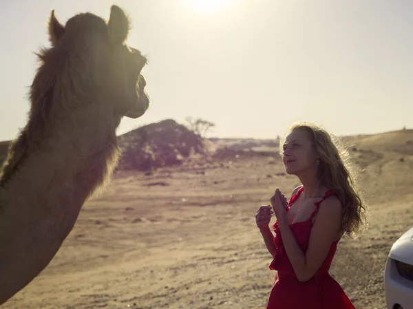 Söt Flicka Röd Klänning Träffa Första Gången Kamel Öknen Safari — Stockfoto