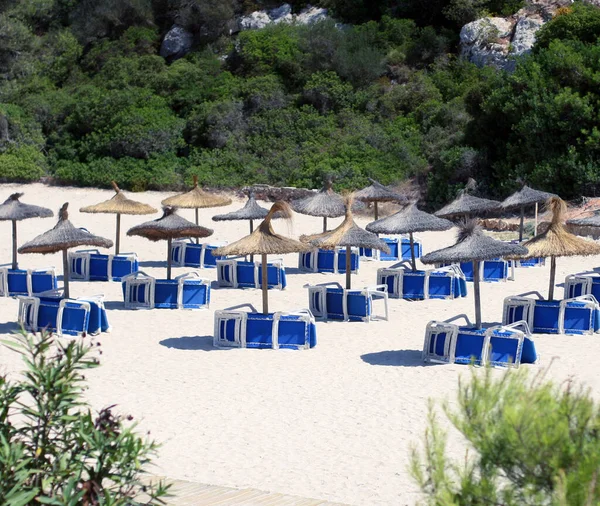 Prázdná Uzavřená Krásná Pláž Změněnými Modrými Lehátky Lehátky Slaměnými Deštníky — Stock fotografie