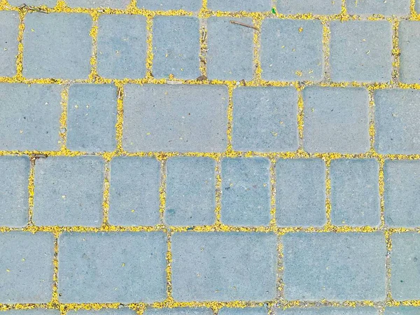 Gelbe Graue Tapete Hintergrund Mit Outdoor Boden Zement Betonfliese Und — Stockfoto