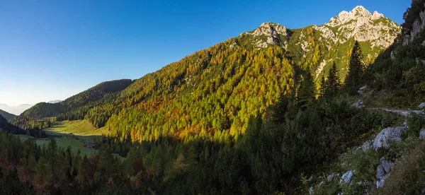 Panoramic View Mountin Plain Planina Konjscica Visevnik Mountain Slovenia — Stock Photo, Image