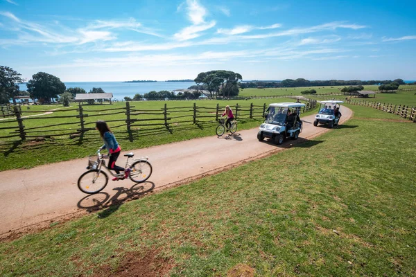 Brijuni Croácia Março 2019 Turistas Andando Bicicleta Dirigindo Carrinhos Golfe — Fotografia de Stock