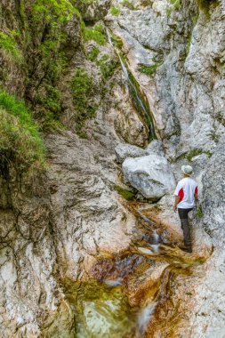 Slovenya 'nın Kamnik-Savinja Alplerindeki Kamniska Bistrica vadisindeki Orglice şelalesinin manzarasını seyreden bir dağcı