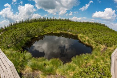 Slovenya 'nın Rogla kenti yakınlarındaki dağ bataklıklarında Lovrenc göllerine (Lovrenla jezera) yansıyan bulutlar