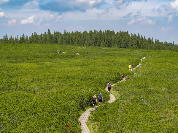 Rogla, Slovenya - 6 Temmuz 2019: İnsanlar bir yaz günü Lovrenc gölleri (Lovrenska jezera) arasında dağ bataklıkları üzerinde yürüyorlar