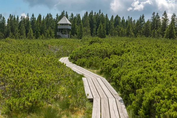 Slovenya 'nın Rogla kenti yakınlarındaki Lovrenc göllerinde (Lovrenska jezera) bir gözcü kulesi