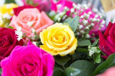 kutlama kavram gül buketi