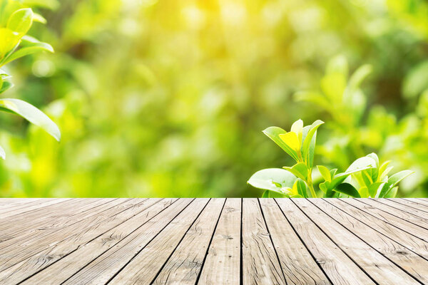 old wood floor with green leaves