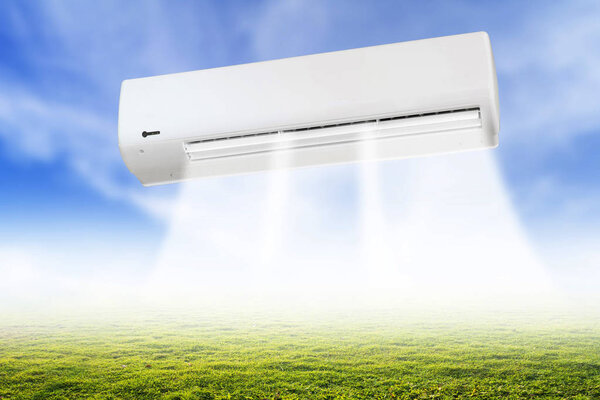 желтый цветок с голубым небом
