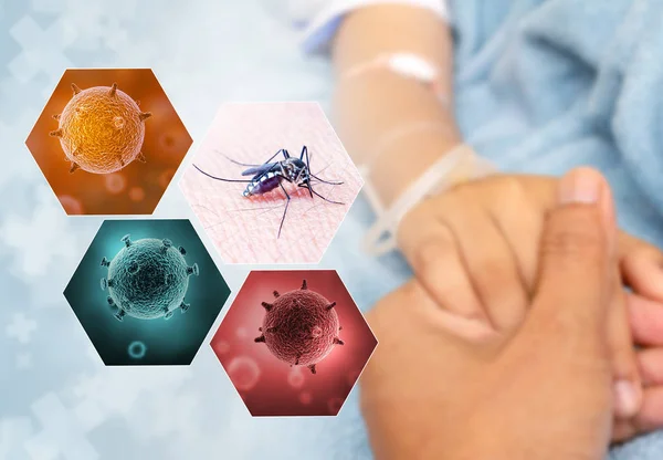 Health Issue Concept Image Mosquito Virus Carrie — Stock Photo, Image