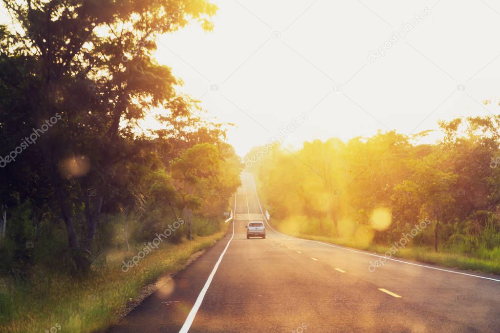 car riding on forest road under sunset sky