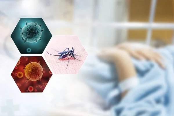 Health Issue Concept Image Mosquito Virus Carrie — Stock Photo, Image