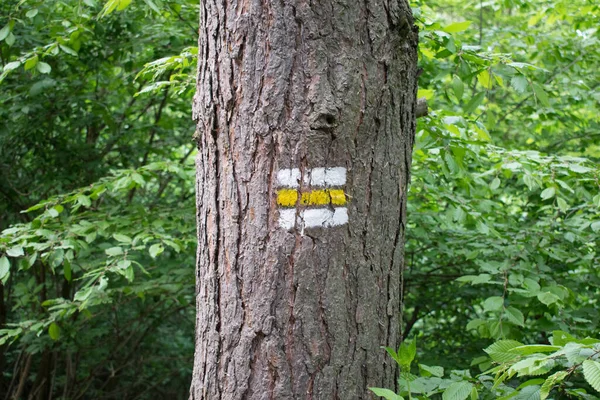 Туристичний Знак Лісі Літо Європа Чехія — стокове фото