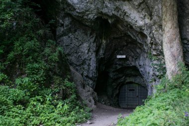 Bull Rock Mağarası Czech Cumhuriyeti Moravya Yazı