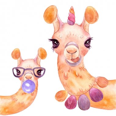 beyaz bir arka plan izole üzerinde llama suluboya Alpaca portre Komik lama