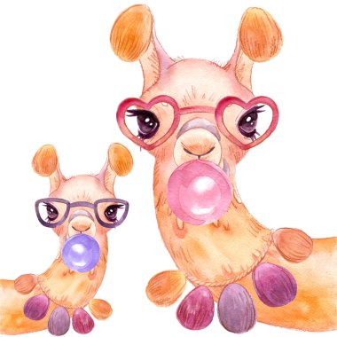 beyaz bir arka plan izole üzerinde llama suluboya Alpaca portre Komik lama
