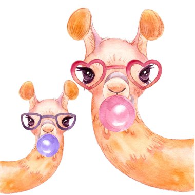 beyaz bir arka plan izole üzerinde llama suluboya Alpaca portre Komik lama