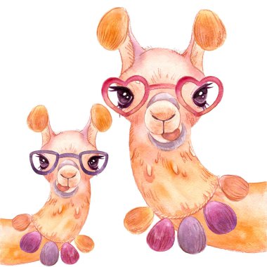 beyaz bir arka plan izole üzerinde llama suluboya Alpaca portre Komik lama