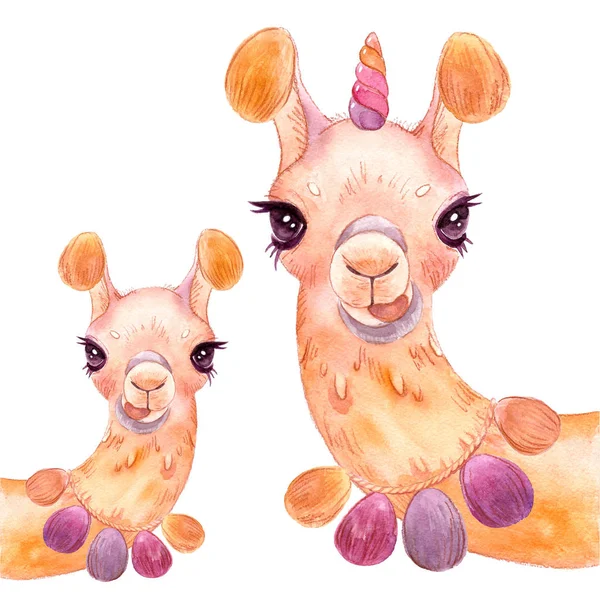 Llama watercolor Alpaca portrait Funny llama on a white background Isolate Royalty Free Stock Photos