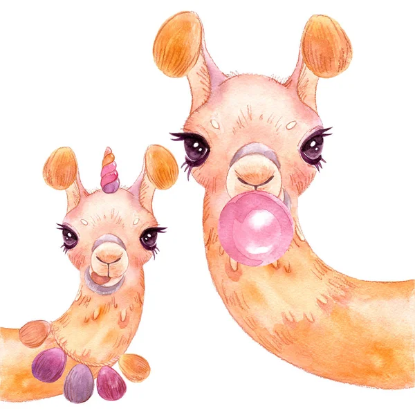 Llama watercolor Alpaca portrait Funny llama on a white background Isolate Stock Image